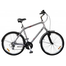 Велосипед Comanche Holiday M