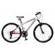 Велосипед Comanche Niagara FS M