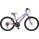 Велосипед Comanche Pony FS L