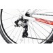 Велосипед Comanche Prairie Comp L